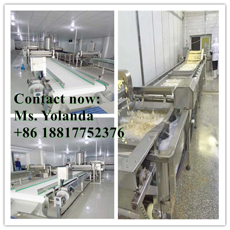 Fully Stainless Steel Kimchi Vegetable Production Line