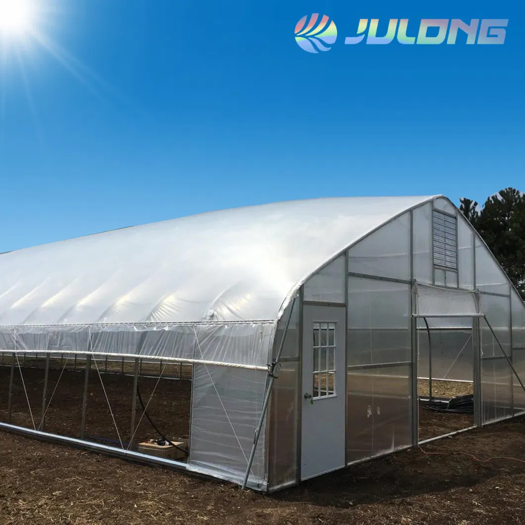 Agricultural Tunnel Greenhouse Have Hydroponic Growing System