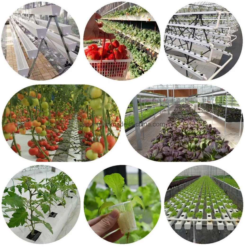China Multi-Span Tunnel/Arch Type PE/Po Film Plastic Agricultural/ Commercial Eco Greenhouses Cucumber Strawberry Hydroponics Growing System