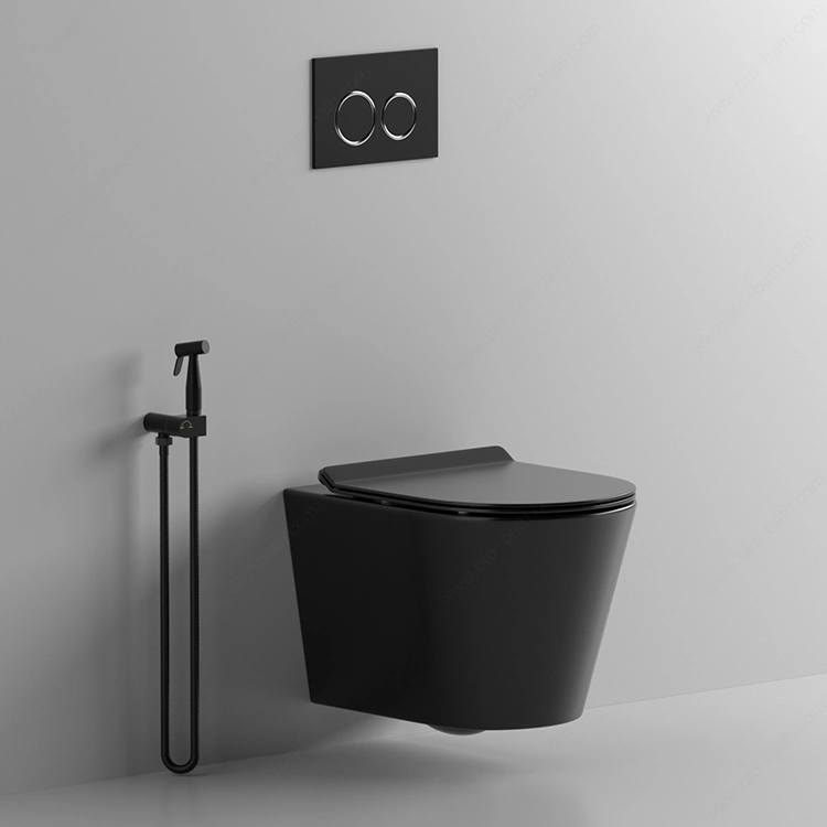 Bto Bathroom Wall Mounted Water Saving Plastic Flush Cistern Concealed Wall Hung Toilet Water Tank