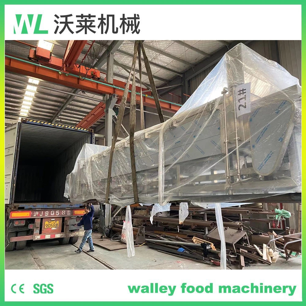 High Rebuy Industrial Vegetables and Fruits Drying and Pickling Spt-S Spiral Type Hot Water Blanching Machine