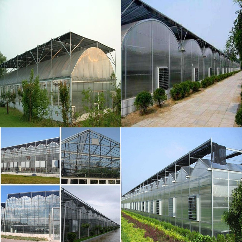 Agriculture Plastic Greenhouse Spray System