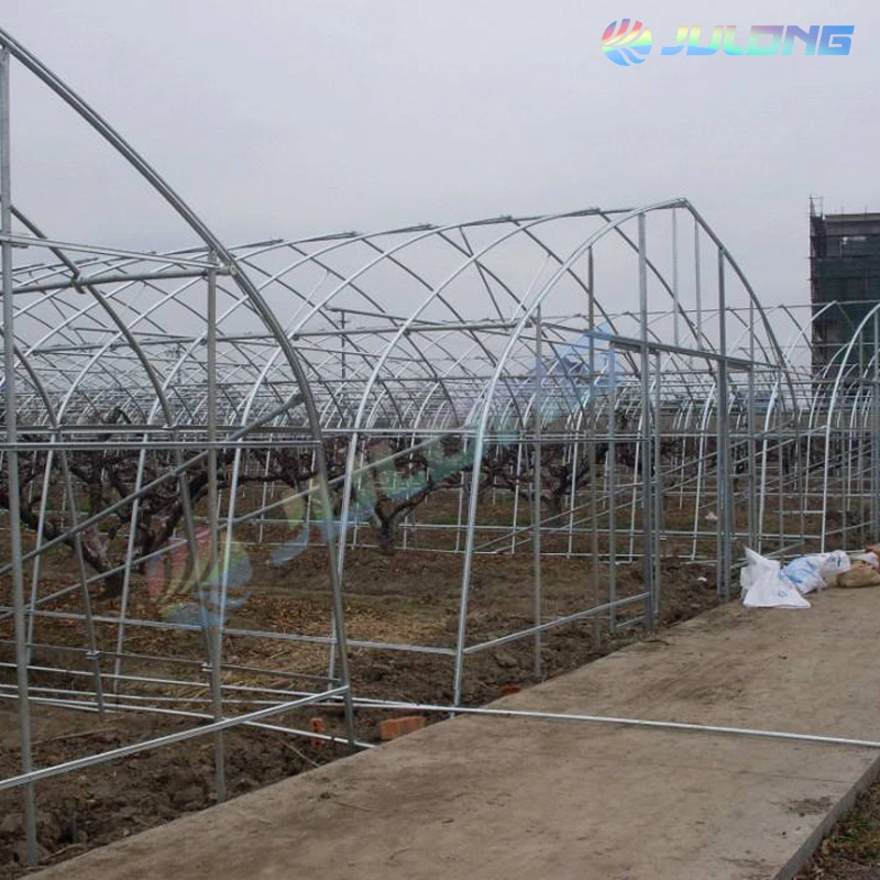Agricultural Tunnel Greenhouse Have Hydroponic Growing System