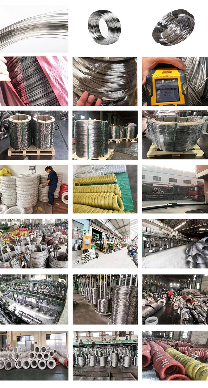 High Quality Ss 201 301 302 304h 310S 316 316L 317L 304 321 Stainless Steel Rod Wire