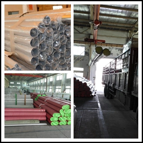 ASTM A312 Tp316 Welded Stainless Steel Pipe Pickling Polishing and Annealed