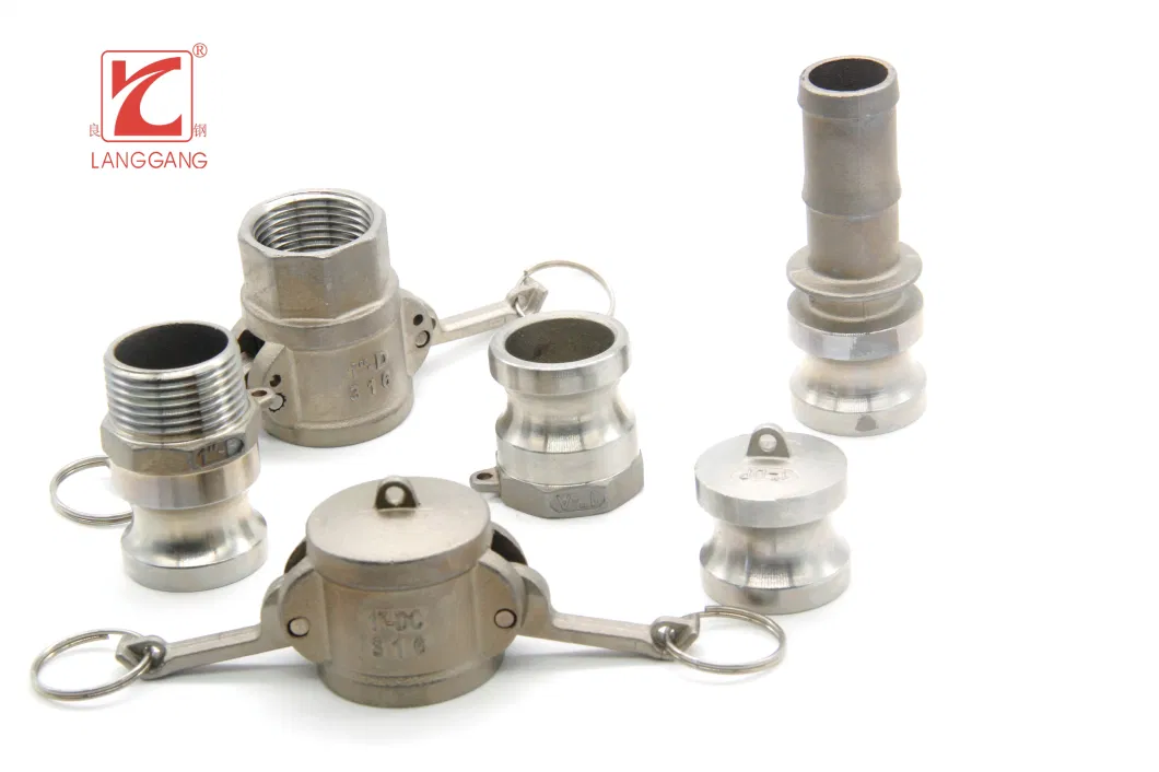 High Quality 304 Stainless Steel Casted BSPT/NPT Type-DC Thread Dust Cap Camlock