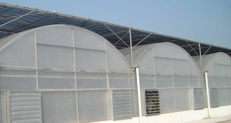 Inside Shading System for Greenhouse Project Made in China