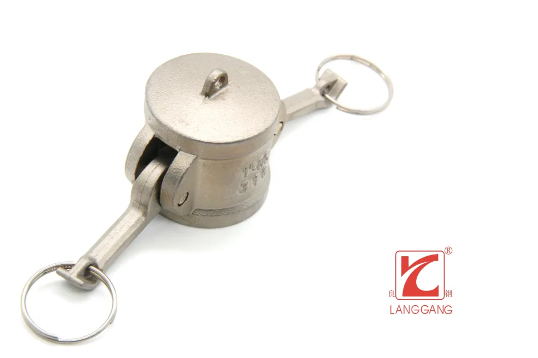 Standard Inox 304 Stainless Steel Casted BSPT Type-DC Thread Dust Cap Camlock