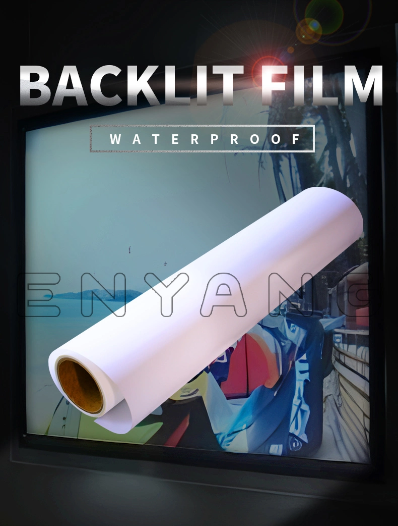 24 Pet Milky White Backlit Film Roll Transparent Near Me