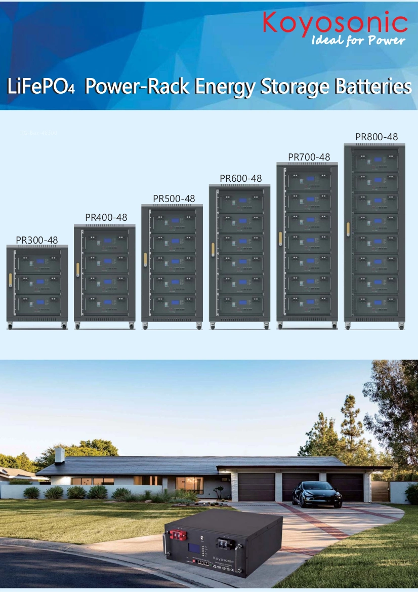 LiFePO4 Rack 5kw-Solar-System-with-Battery-Backup Energy Storage LiFePO4 48volt 48V 100ah LFP Lithium Ion Rack Mounted Batteries