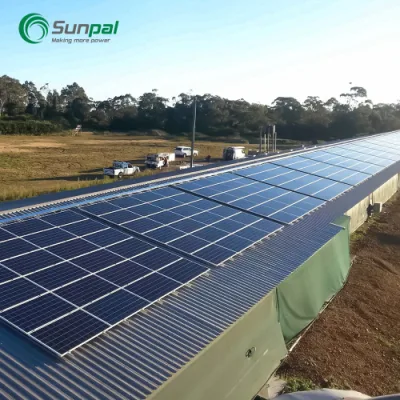China Top 30kw 150kw 50 kVA Grid System Hybrid Inverter Solaranlage mit Fabrikpreis