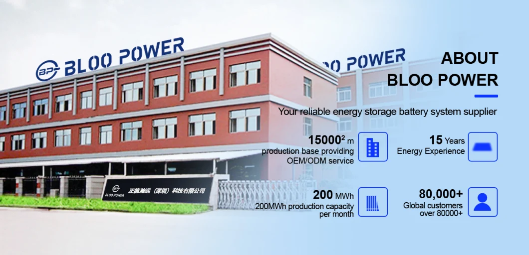 Bloo Power 15kwh 20 Kw 20kw 20 Kwh Li Ion Floor Stand Type for Inverter Li Polymer Liion Offgrid Storage Cycling Solar Energy System Bank