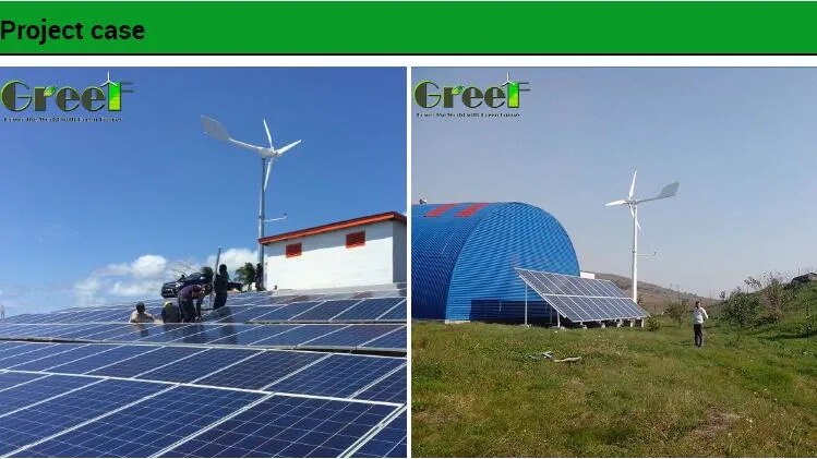 1kw 2kw 3kw 5kw 10kw Small Horizontal Axis Wind Power/Energy Solar Wind Hybrid System Wind Turbine for off/on Grid System/Home/Business