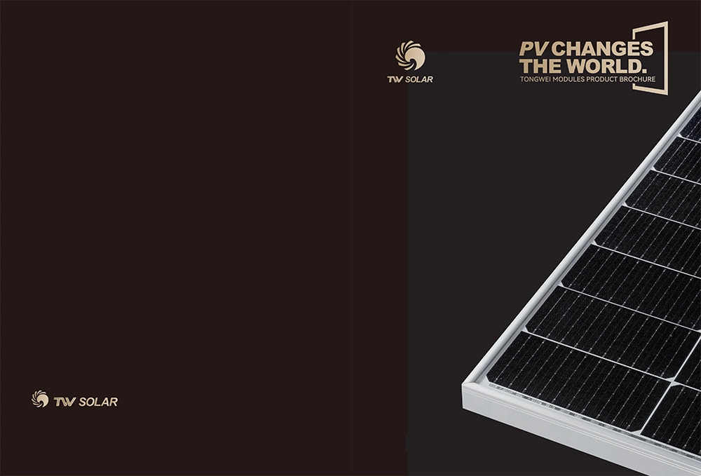 High Quality Solar Panels Tw P-Type Half-Cell Bifacial Module 545W 550W Used Solar Panels in Germany Solar Panels 2kw