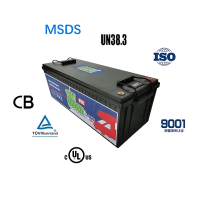12V 100Ah LiFePO4 battery construido BMS admite la carga de baja temperatura batería de litio off-grid en zonas frías