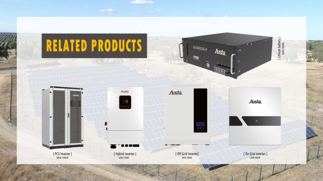 1kw Portable Home off Grid Supply Hybrid Inverter AC DC Solar Power System with MPPT Charge Controller