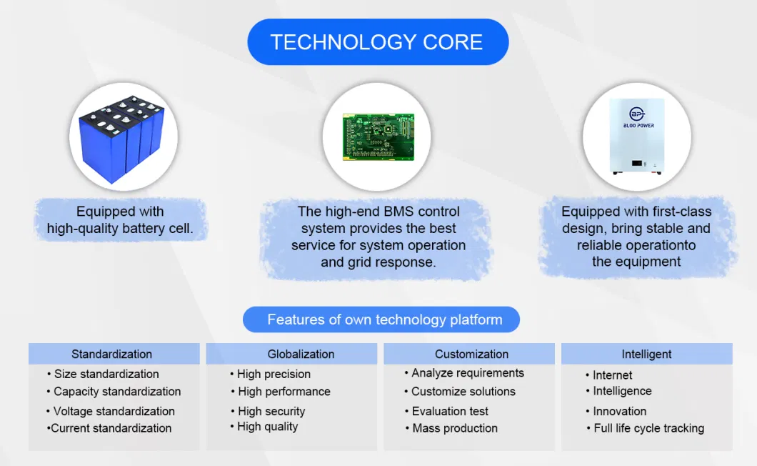 Bloo Power 15kwh 20 Kw 20kw 20 Kwh Li Ion Floor Stand Type for Inverter Li Polymer Liion Offgrid Storage Cycling Solar Energy System Bank