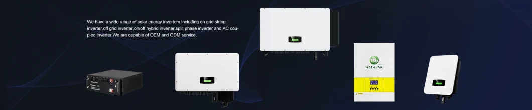 North America Split Phase 9.6 Kw Hybrid Inverter for Home Solar Energy Storage