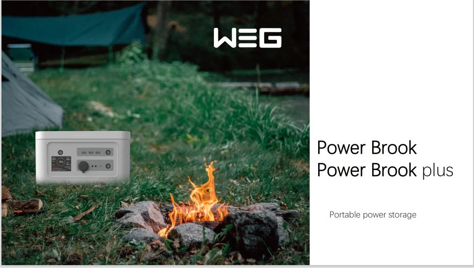 Light and Long Endurance Portable Power Station LiFePO4 Battery 2*AC Outlet 110V/300W Solar Generators with 4 Ways to Recharge