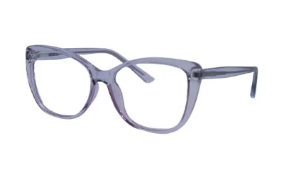 Manufacturer Produces Durable High Quality Lightweight PC Frame Reader Wholesale Glasses