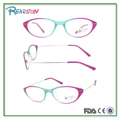 New Plastic Reading Glasses /Reader/Eyewear Glasses Made in Wenzhou