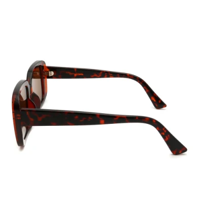2023 Shades Sunglasses Women and Mens Custom Sunglasses