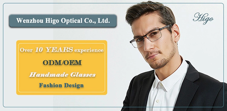 Luxury Higo Prescription Frame Eyeglasses Stainless Steel Mens Womens Fancy Eye Glasses Optical Wear