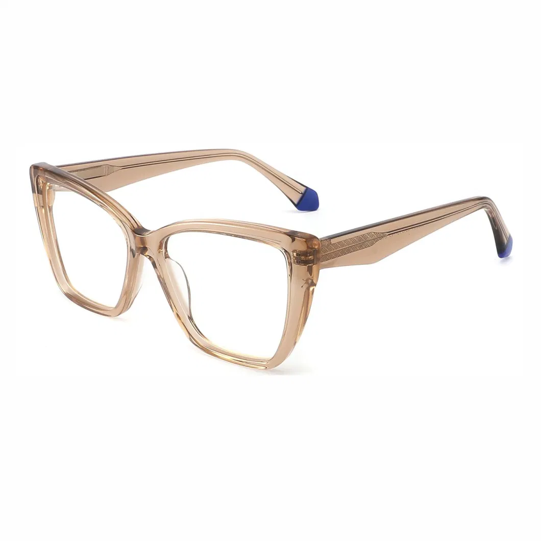 Wholesale Oversized Acetate Spectacle Crystal Vision Eyewear Unisex Optical Frame