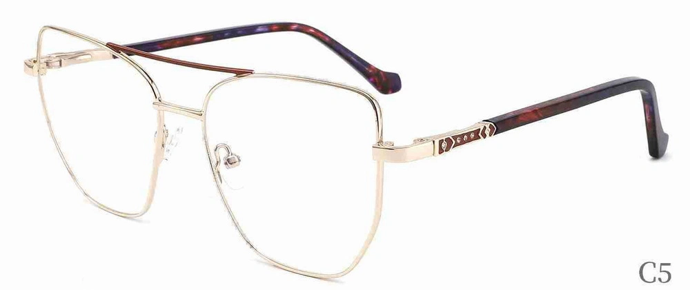 2023 Lady New Optical Eyewear for Computer Reader Spring Clear Women and Men Acrylic Anti Hinge Blue Reading