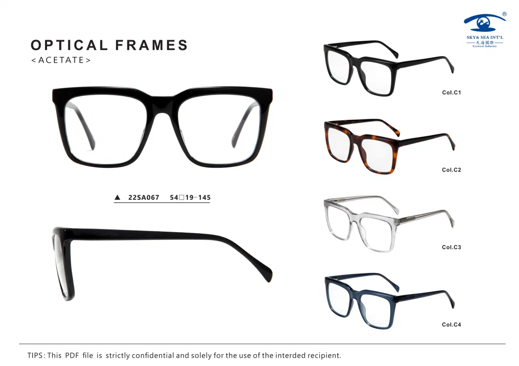 Hot Sale Square Shape Eyeglasses High Quality for Men and Women Injection Acetate Optical Frames