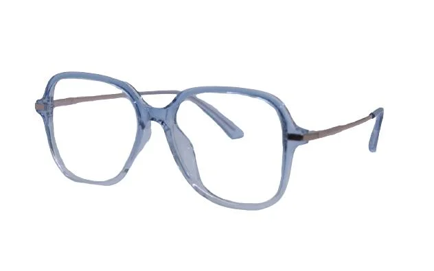 Affordable Durable PC Frame Reading Glasses with AC Lens