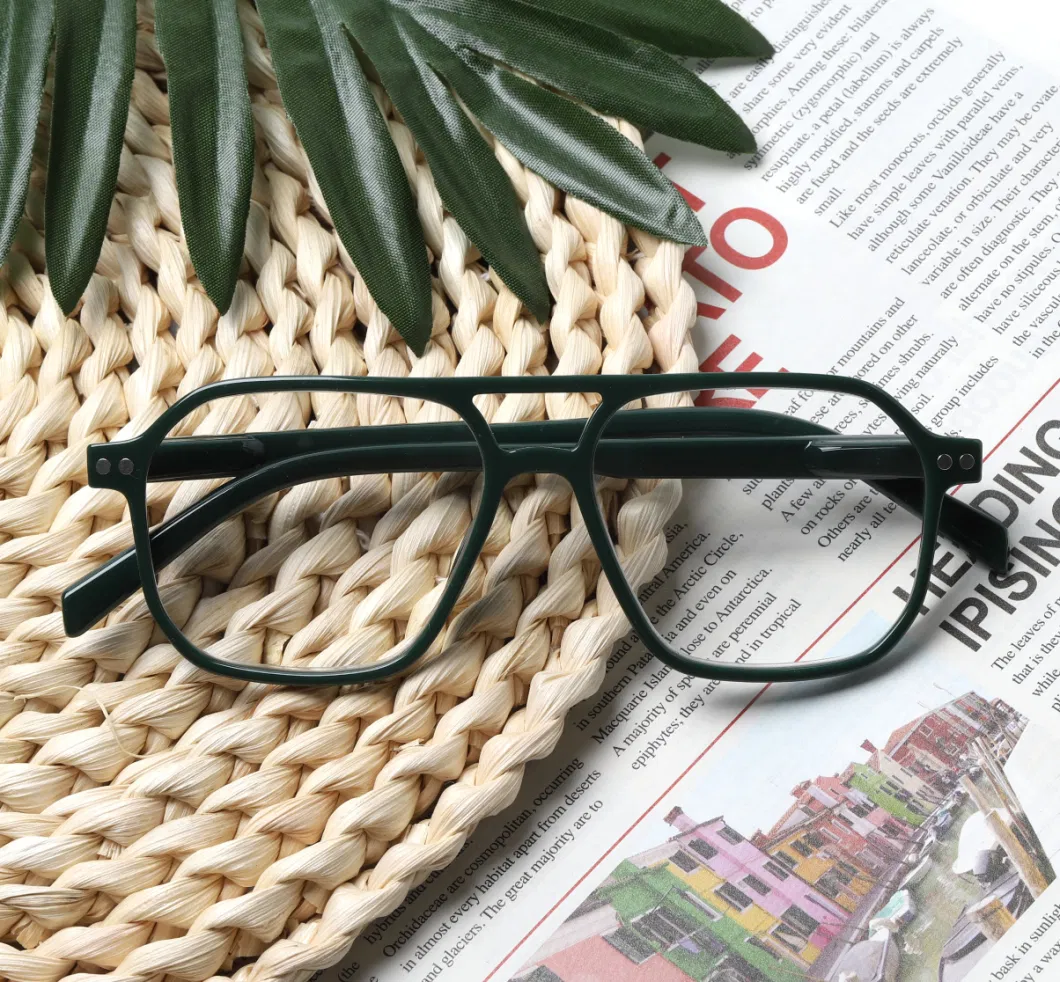 Fashion Double Bridge Pilot Reading Glasses with Spring Hinge Custom Design Logo Available