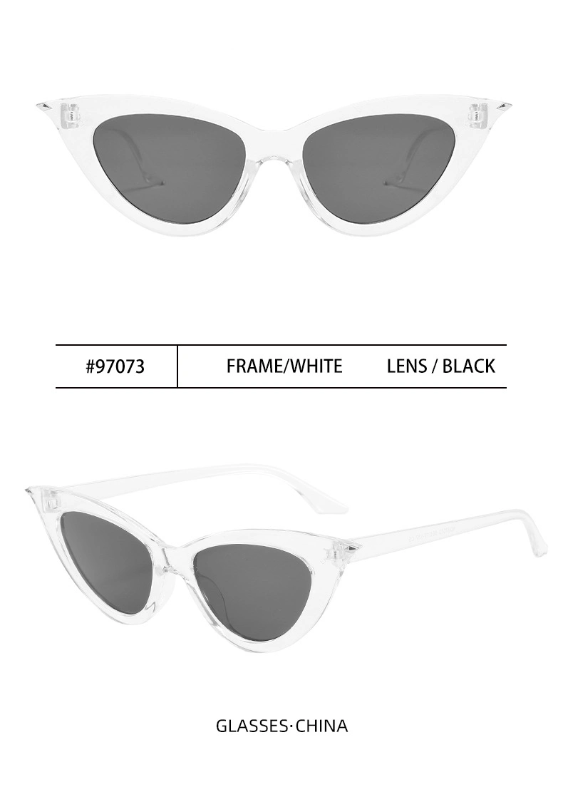 Retro Spectacles Cat Eye Fashion Shades Custom Designer Eyeglass Frames 2023 Eyewear Sun Glasses Women Men Sunglasses