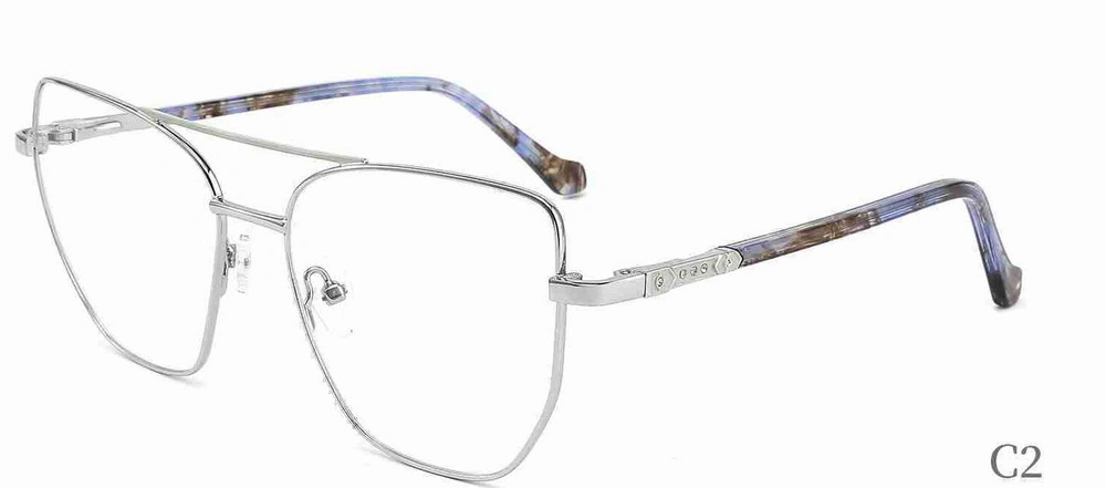 2023 Lady New Optical Eyewear for Computer Reader Spring Clear Women and Men Acrylic Anti Hinge Blue Reading