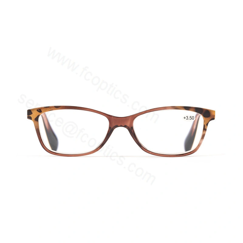 Plastic Fashionable with Spring Hinge Reading Glasses by China Manufacturer Reader