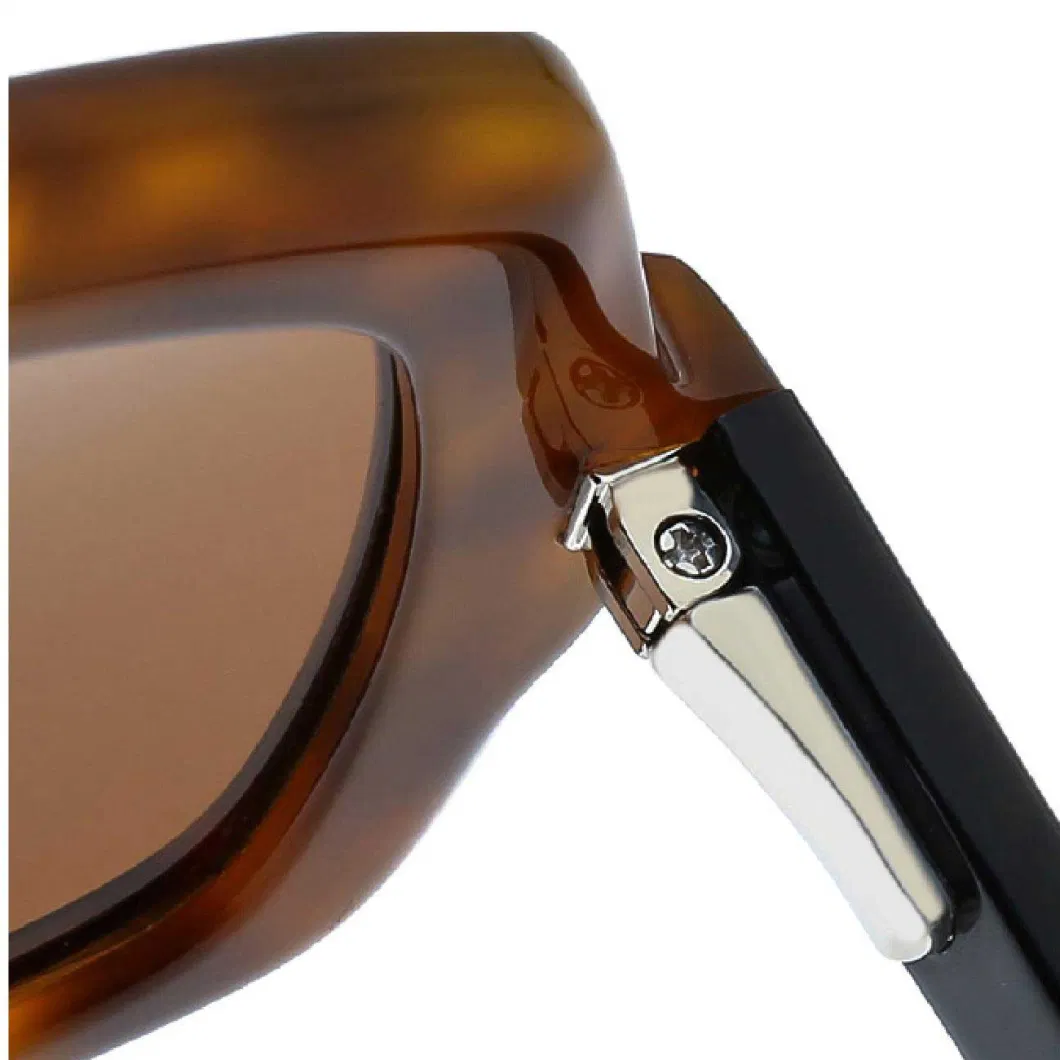 Designer Brand UV Block Rectangle Acetate for Gentlemen Shades Sunglasses