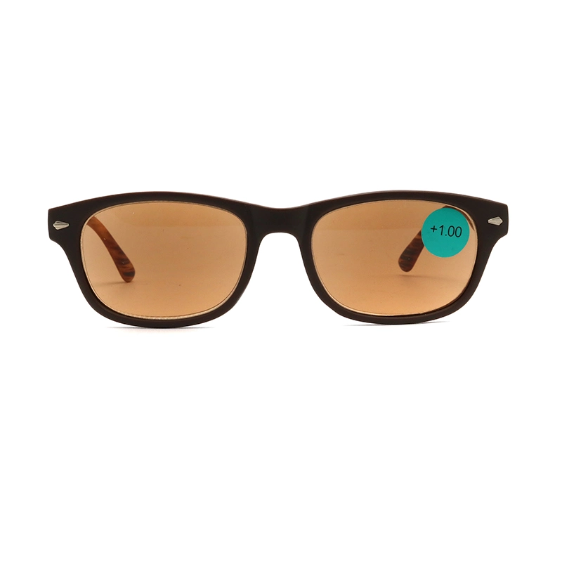 Unisex Fashion Bifocal Sun Reader Reading Glasses Plastic OEM Frame Fashion Bifoc Read Customized