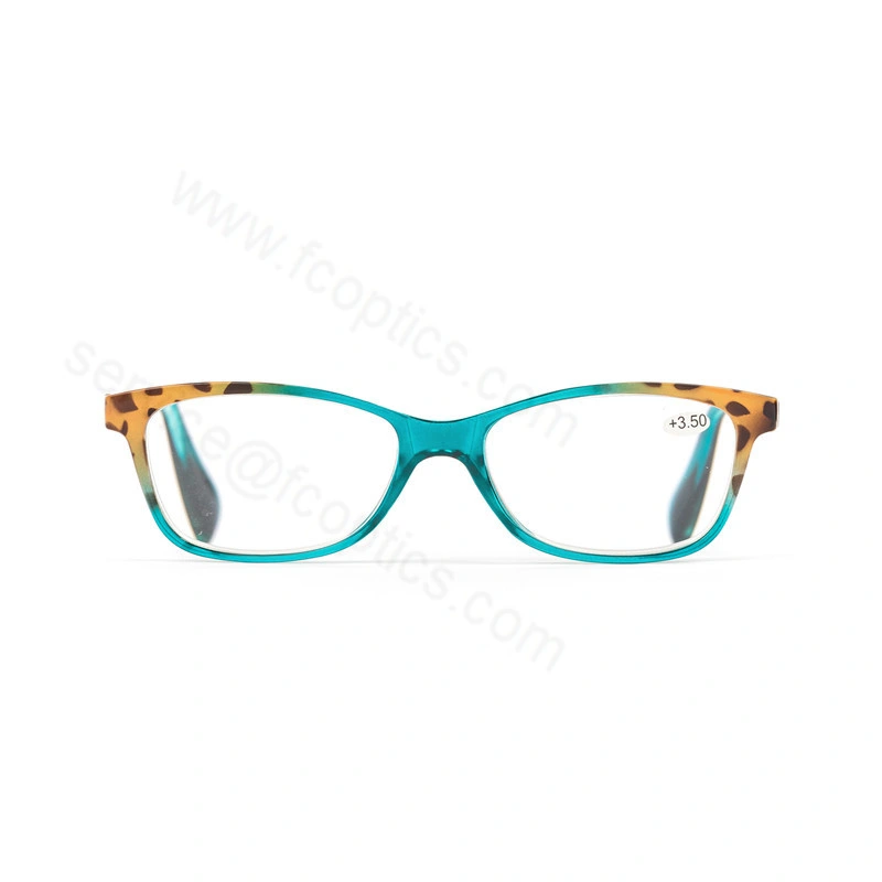 Plastic Fashionable with Spring Hinge Reading Glasses by China Manufacturer Reader