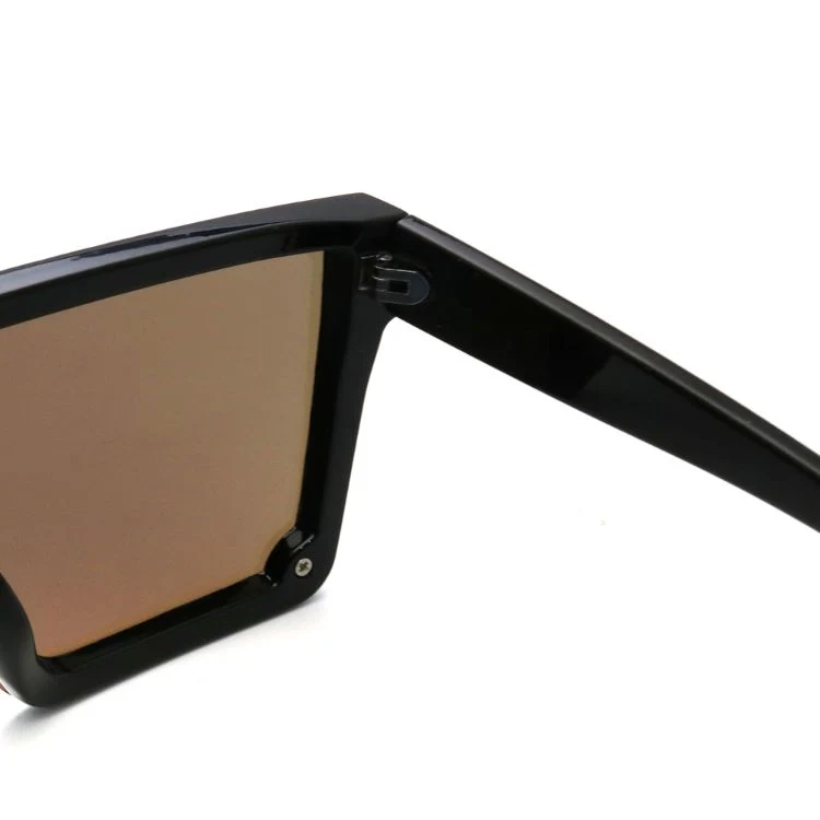 2024 New Factory CE UV400 Approved Fashion Eyewear Frame Glasses Sport Custom Logo Tac Square Brand Plastic Designer Fashion Polarized Sunglass