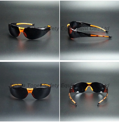 Optical Frame Safety Glasses Sun Glasses Plastic Frame (SG119)