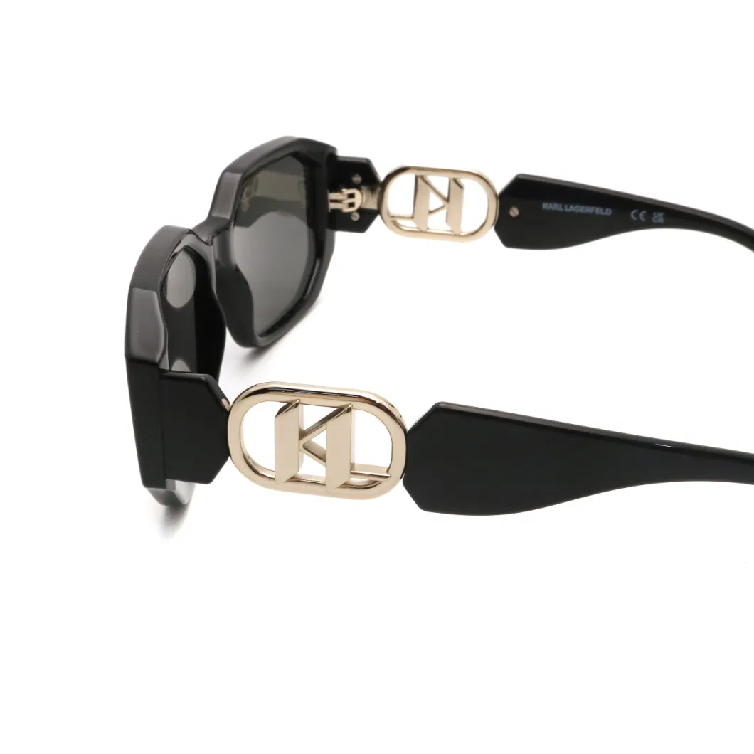 Luxury Designer Wholesale Designer Newest Fashion Sun Glasses Lunette De Soleil Custom Brand Mens Brand Sunglass OEM for Polaroid