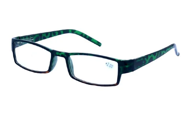 Reader China Supplier Plastic Reading Glasses with Cheapest Supplier