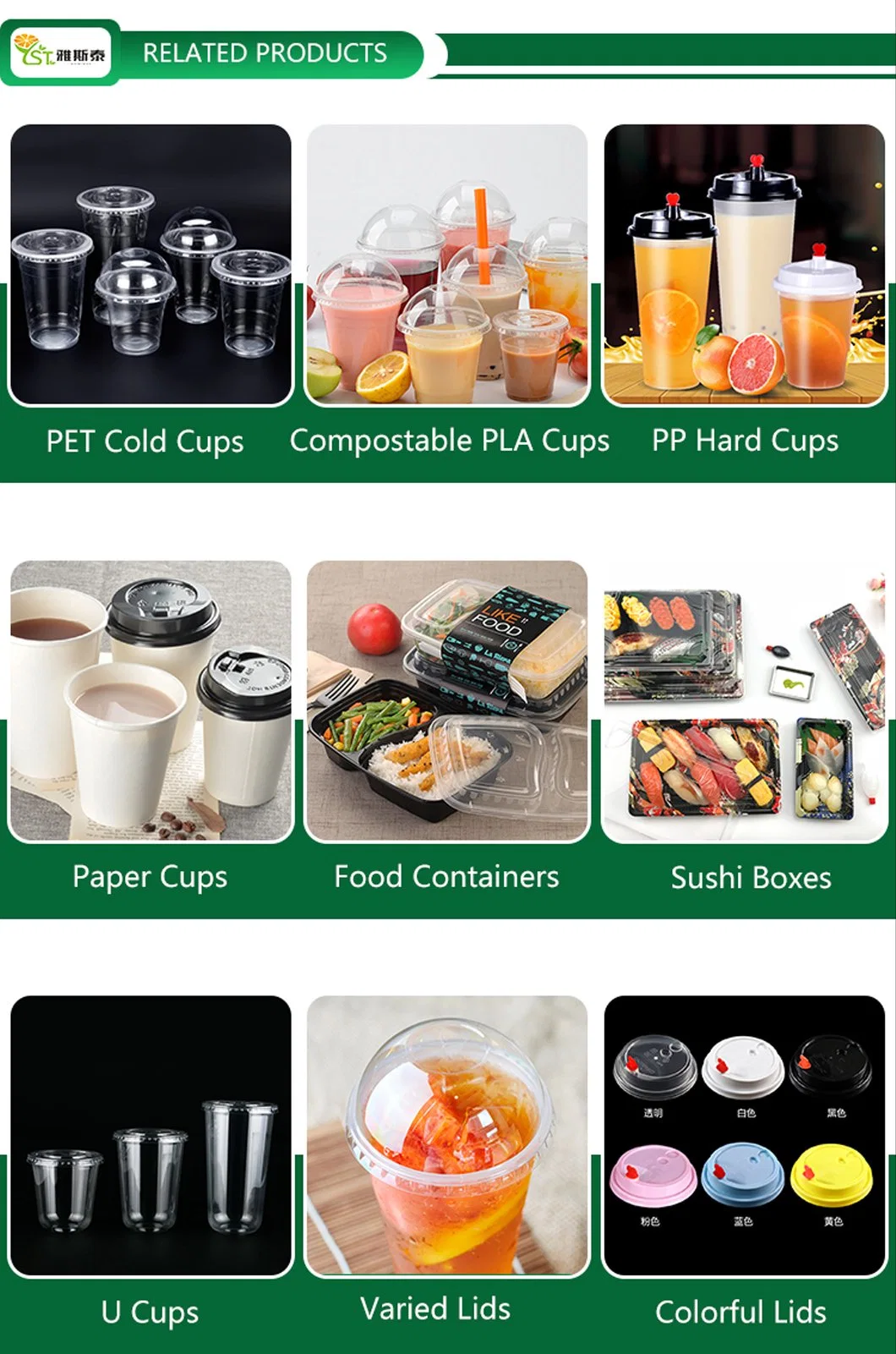 Custom Printed Clear 12, 16, 20, 24oz PP Pet Transparent Disposable Plastic Cup with Lid Boba Bubble Milk Tea Cup