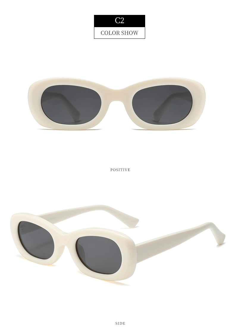 Unisex Classic Retro Custom Factory Selling High Quality Personalized Oval Luxury Casual PC Sunglasses