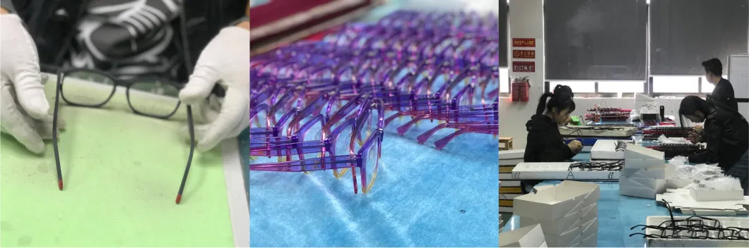 China Manufacturer Custom Brand Plastic Cp Frames Women Men Optical Glasses