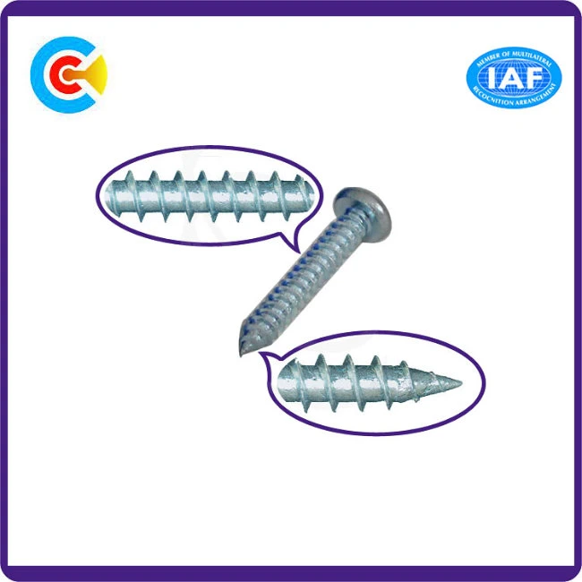Stainless Steel/4.8/8.8/10.9 Galvanized Self-Tapping Screw for Bridge