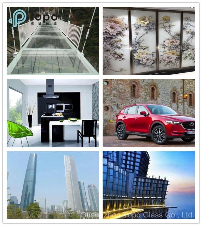 Tempered/Toughened Glass/Window/Shower Door Float Glass (T-TP)