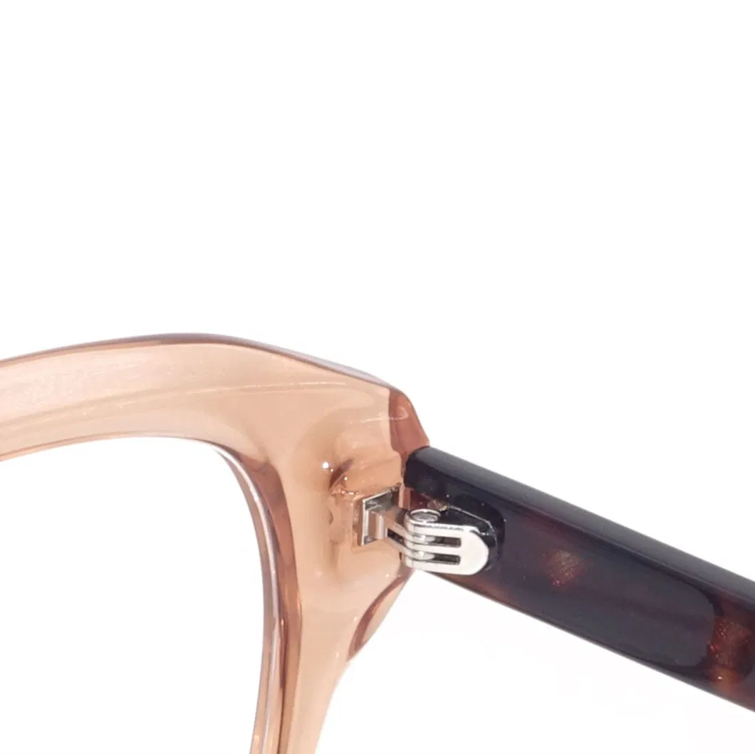 Wholesale Style Model Eyeglasses Tr90 Plastic Acetate Optical Frames