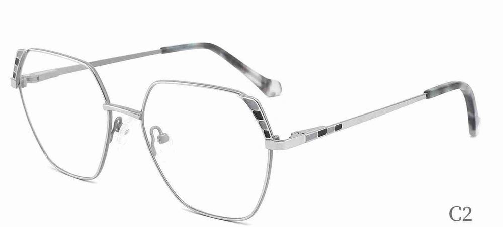 Xc62109 Anti-Blue Light Eyewear/Tr90 Optical Frames Blue Light Blocking Glasses/ Optical Frames Myopia Eyeglasses