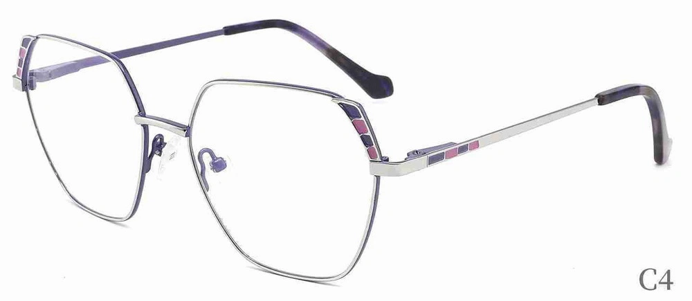 Xc62109 Anti-Blue Light Eyewear/Tr90 Optical Frames Blue Light Blocking Glasses/ Optical Frames Myopia Eyeglasses